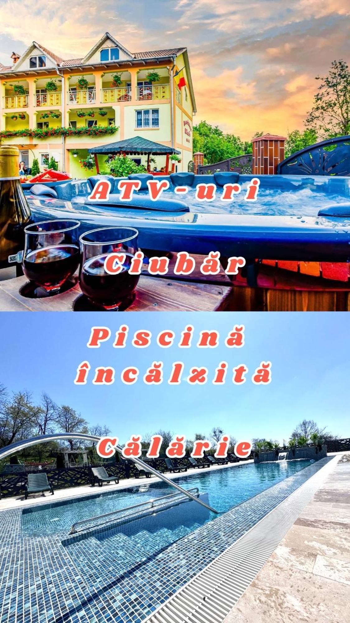 Pensiunea Mihaela-Transalpina Novaci-Străini Εξωτερικό φωτογραφία